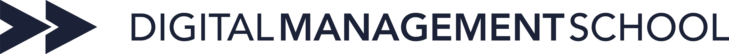Digital Management School